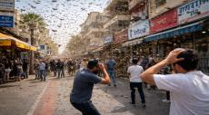 Swarms of bees and crows in Israel: A warning sign of its oppression?