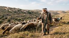 Israeli Settlers and Soldiers Kill Teen and Steal Sheep in West Bank Raid