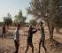 Israeli Settler Assaults Intensify - Olive Trees Uprooted in Bedouin Community