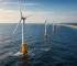 US to Pay $1B to TotalEnergies After Wind Project Cancellation