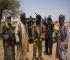 Nigeria Says Joint US Strikes Kill 175 ISIL Fighters